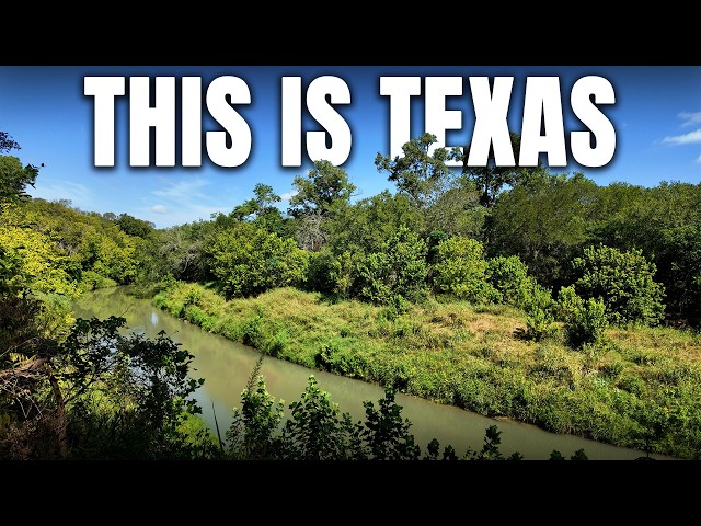This Tropical Swamp Is Actually in Texas (Palmetto State Park)
