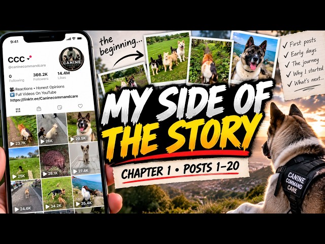 My TikTok Story Explained | Chapter 1: Posts 1–20