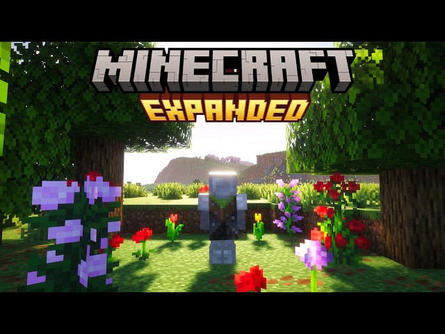 Expanding The Minecraft Endgame