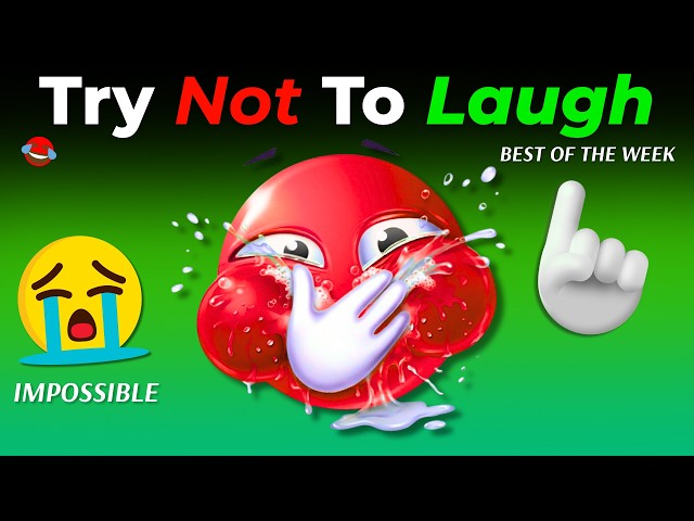 BEST OF THE WEEK 🤣 Try Not To Laugh Challenge 😭(IMPOSSIBLE) - Funny Videos Part 203!