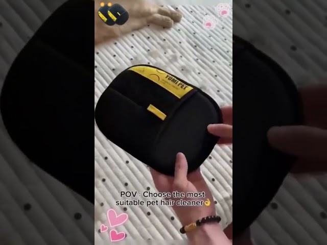 Remove Pet Hair in Seconds with This Magical Glove!