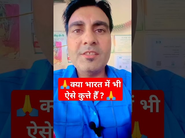 🙏क्या भारत में ऐसा कुत्ता है🙏#dna #dnanews #schokingnews #shorts #hindi #hindinews #shortsvideo