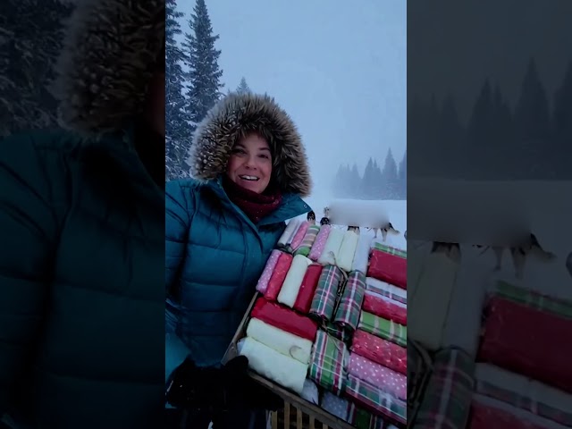 Quilters Know ... Nothing Stops a Quilter❄️🧵😂
