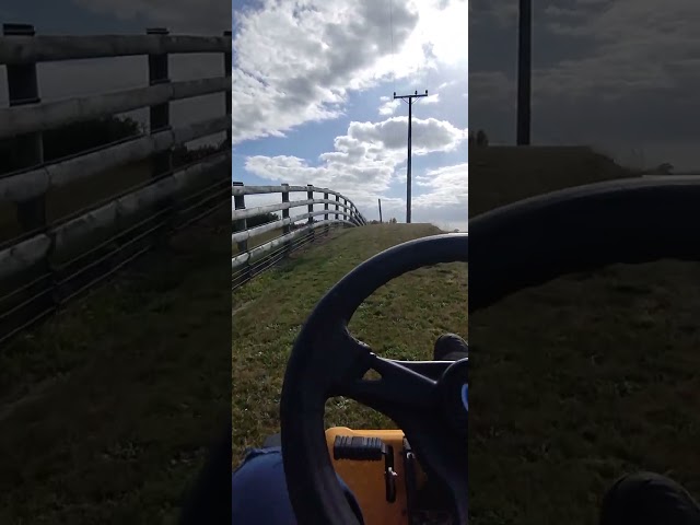 cub cadet