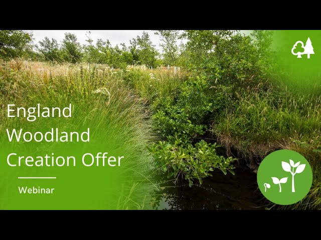 Introduction to the England Woodland Creation Offer