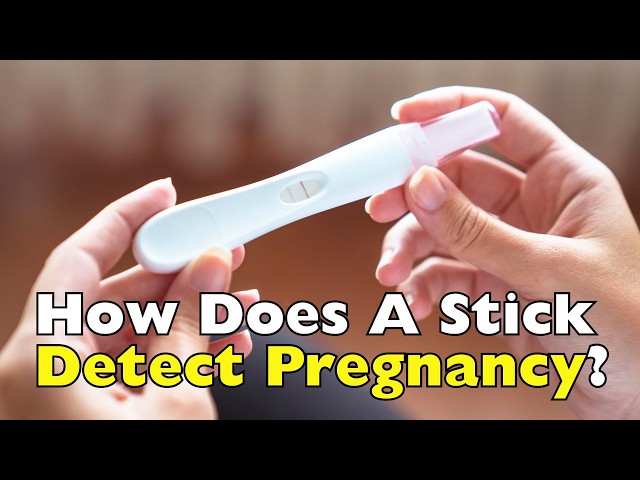 How Do Home Pregnancy Tests Actually Work?