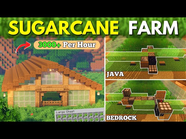 Minecraft Flying Machine Sugar Cane Farm! 🌿 Java & Bedrock Tutorial
