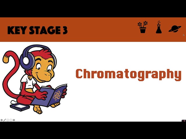 Chromatography