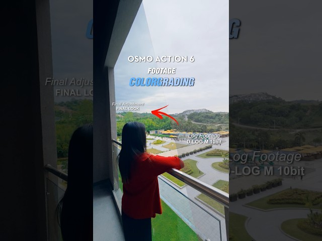 Action 6 color grading transformation