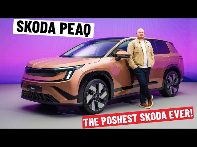 New Skoda Peaq: Is this peak Skoda?
