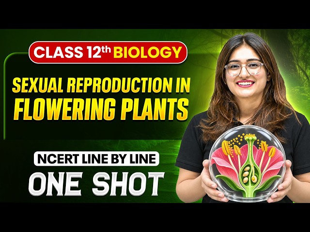Sexual Reproduction In Flowering Plants Class 12 One Shot | NCERT Line by Line | Biology Chapter 3