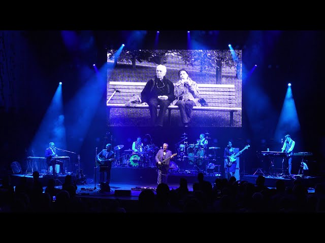 Squeeze - Labelled with Love (Live at Liverpool Philharmonic, 2019)