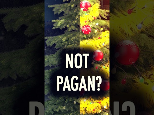 Pagans Didn't Invent the Christmas Tree