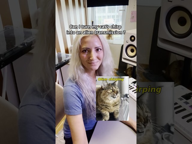 Kitty Chirp to Alien Transmission
