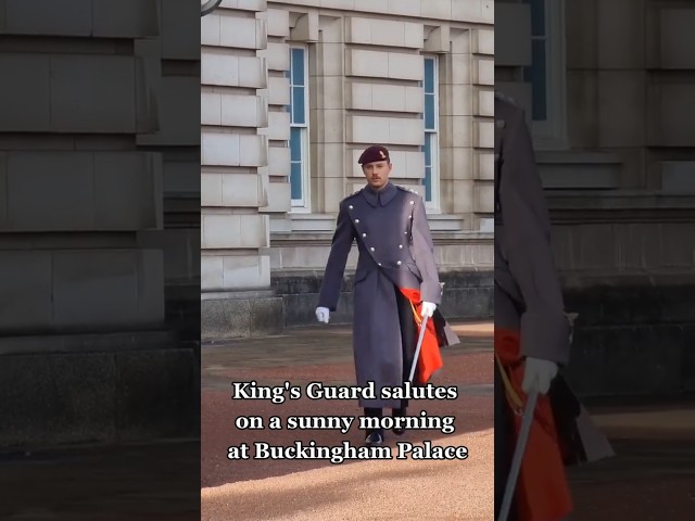King's Guard Salutes The King's Guard at Buckingham Palace #kingsguard