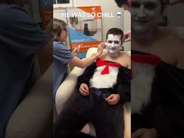 The Cat in the Hat is chill af 💀