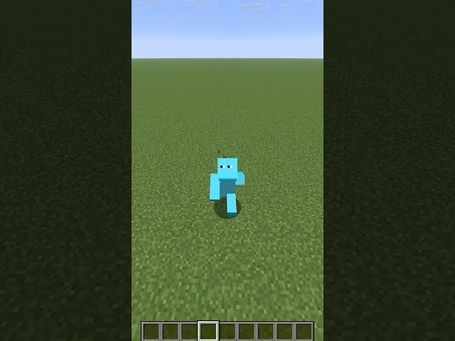 Find The Minecraft Item In 5 Minutes!