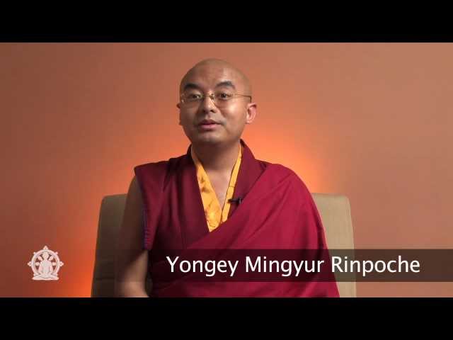 My Story (1/2) ~ Using meditation to deal with panic attacks, stress & anxiety
