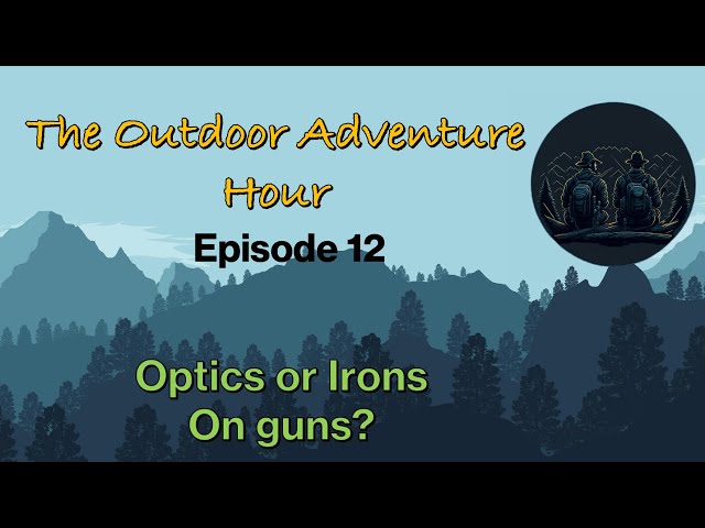Should we put optics on our guns? If so, what?