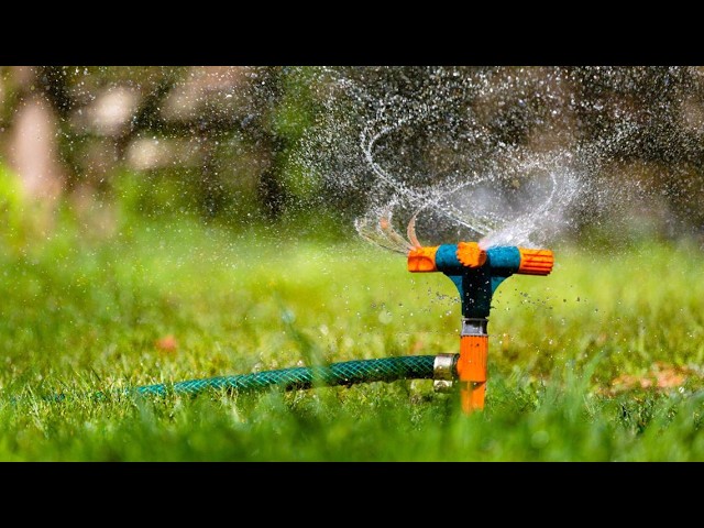 CIWW says new Smart Watering pilot program is already a success