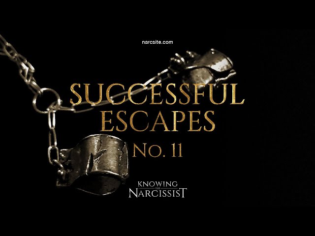 Successful Escapes : 11