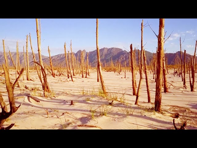 When The World Gets 1℃ Hotter | Climate Change: The Facts | BBC Earth