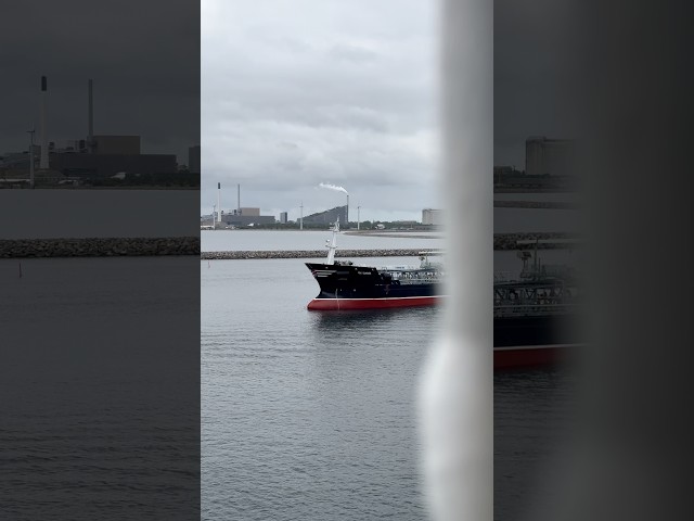 Bunkering Ship ⛴️ || Bunker Vessel #ship #HFO