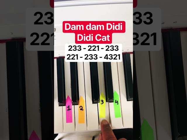 Dam Dam Didi Didi Cat | EASY Piano Tutorial 🐱🎹