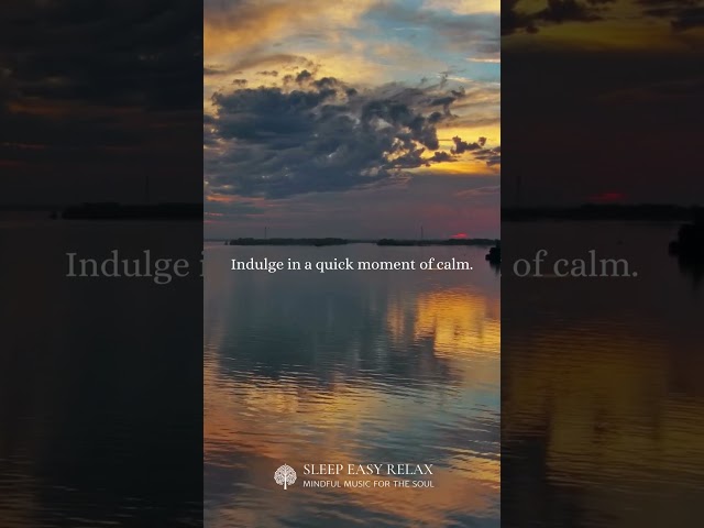 Let the tranquility of nature soothe your soul 🌿🌅 #RelaxationTime #NatureSounds #Mindfulness #shorts