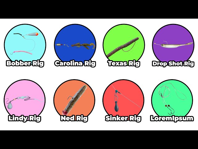 Best Rigs For Every Fishing Trip Explained