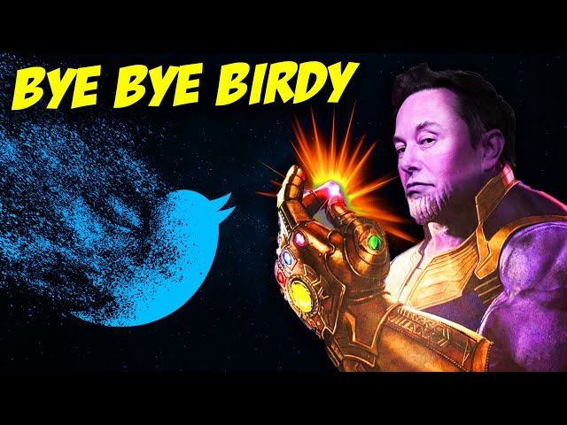 Is Twitter Fake?? | Elon's Tweets of the Week