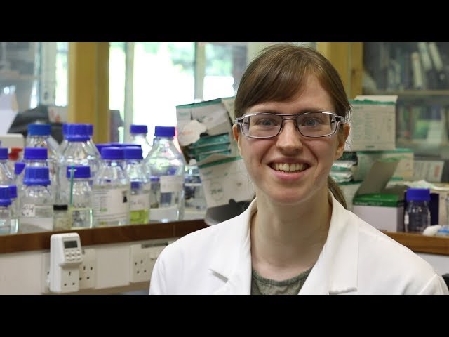 A Day in the Life of a Researcher