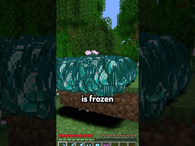 Level 1 MILLION Enchants in Minecraft...