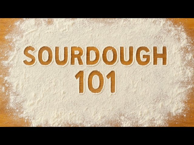 Sourdough 101: The Complete Beginners Guide From Starter to Loaf!