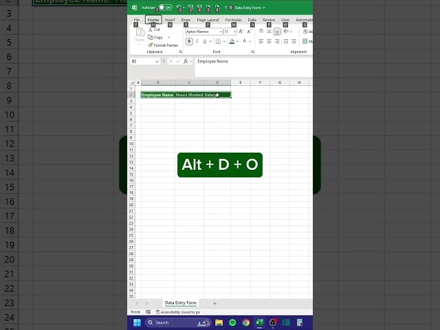 Data Entry Form in Excel‼️ #excel