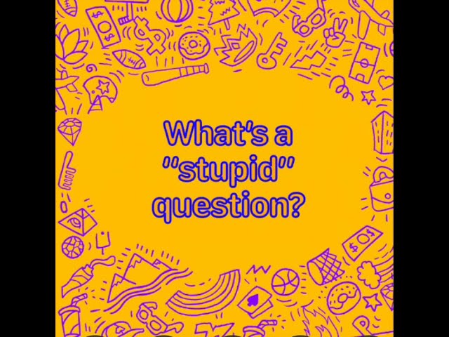 What's a stupid question?
