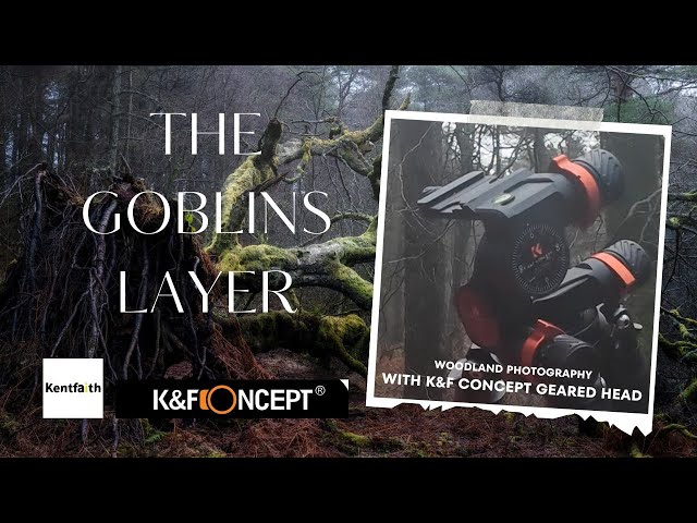 A Game Changer for your Woodland Photography | Using the Kentfaith & K&F Concept Geared Head GD3W