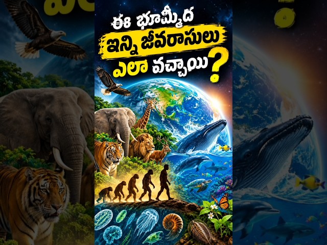 🌍 How did so many life forms emerge on Earth? 🧬