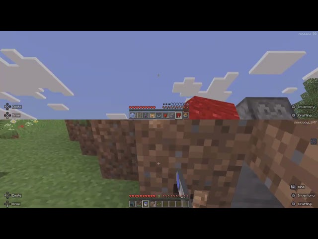 Minecraft movie