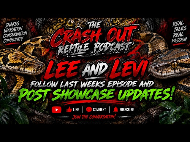 Lee & Levi Follow Up on Last Week’s CHAOS! 🐍 + Post Showcase Updates!