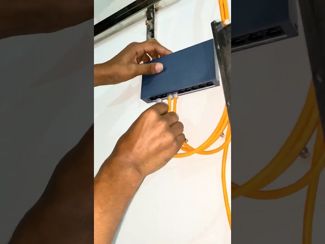 How to Connect LAN Cables to Network Switch | Ethernet Setup Guide #shorts