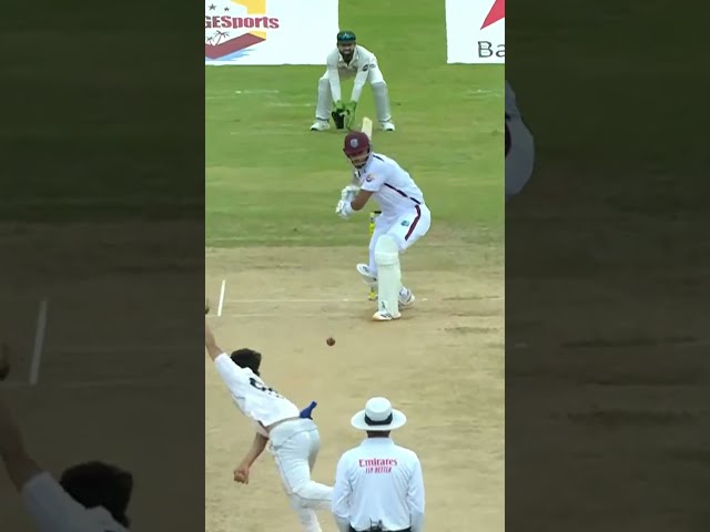 Shot of the day 👏