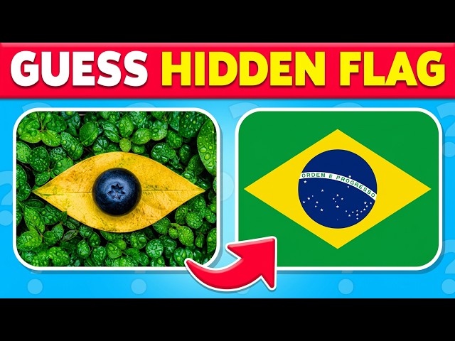 Guess The HIDDEN Flag By Optical Illusion 🚩👀 From Easy to Impossible 🌎🔥