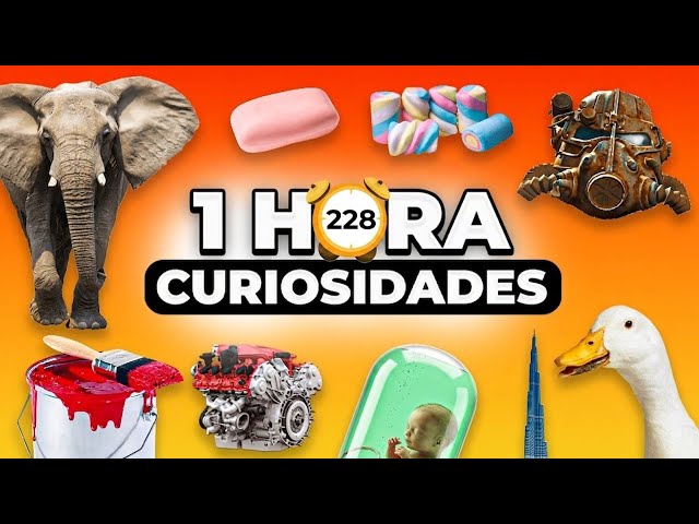 1 HORA De DATOS CURIOSOS y CURIOSIDADES ASOMBROSAS Que No SABÍAS Del Mundo🌍