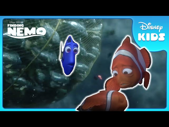 🕸️ Fish in a Net: Will They Break Free? | Finding Nemo | Disney Kids