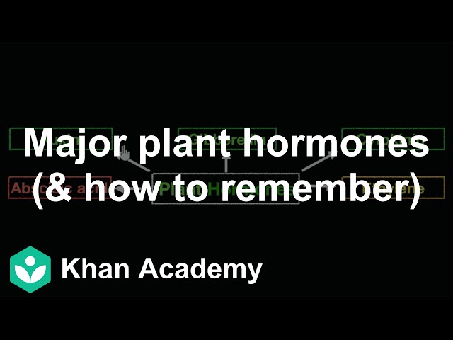 Major plant hormones (& how to remember) | Control & Coordination | class 10| Biology | Khan Academy