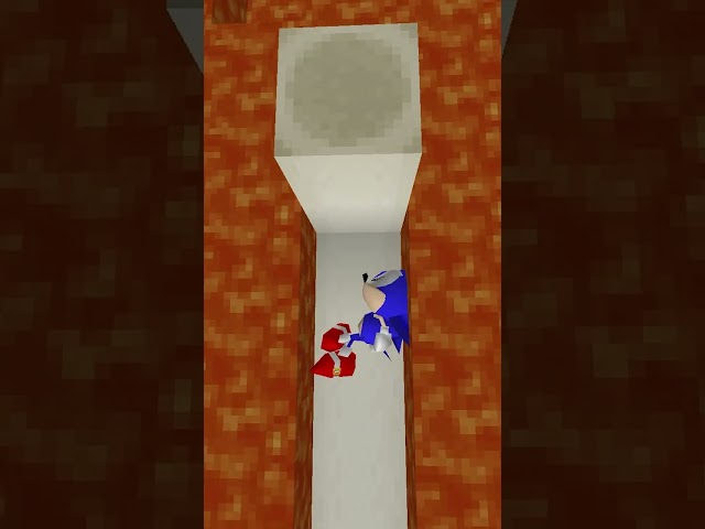 Sonic Dies in Minecraft
