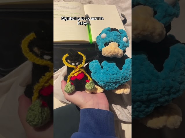 I love them #crochet #nightwing