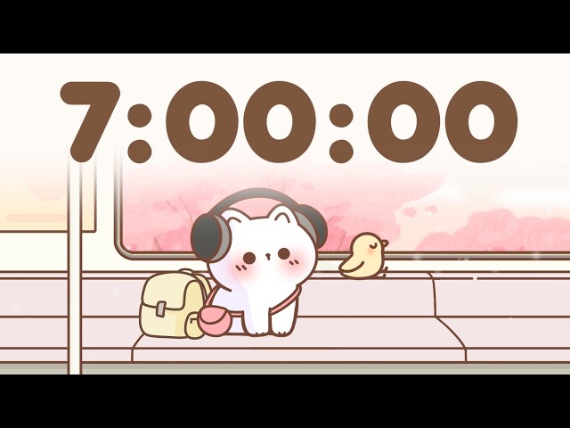 7 Hour Timer 🐱 7 Hr Study Timer for Classroom Focus