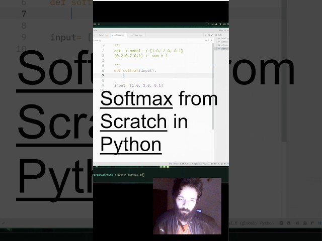 Implementing Softmax From Scratch in Vanilla Python
